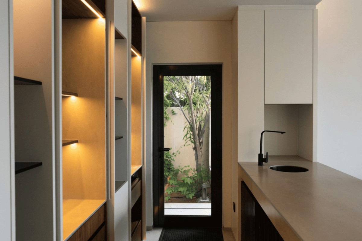 Slim Pivot Doors